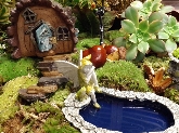 Fairies and Fairy Gardens