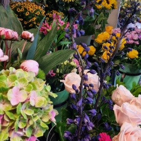 FLORISTS CHOICE