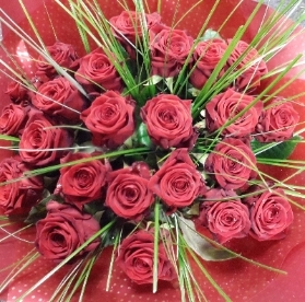 Amore Valentine roses
