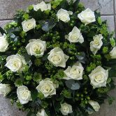 Posy pad  Simply Roses